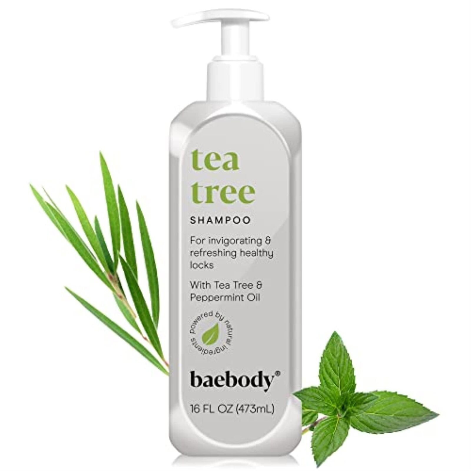 Baebody New Tea Tree Shampoo