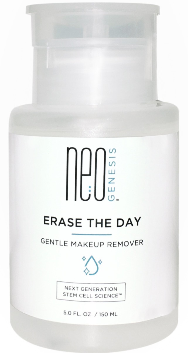 NeoGenesis Erase The Day