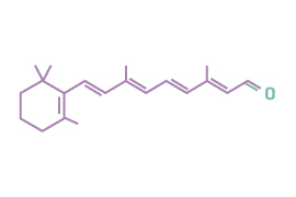 Enzyme-Active Retinol Serum  0.1% Retinal – Protocol Skincare