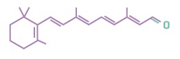 Retinal