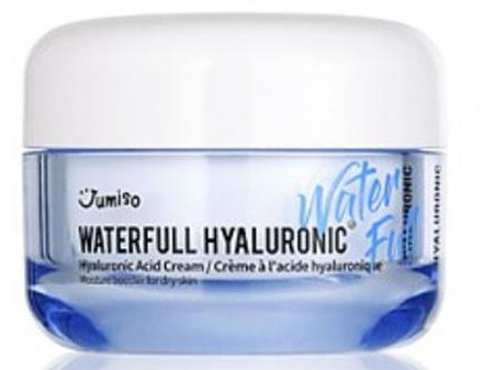 JUMISO Waterfull Hyaluronic Cream