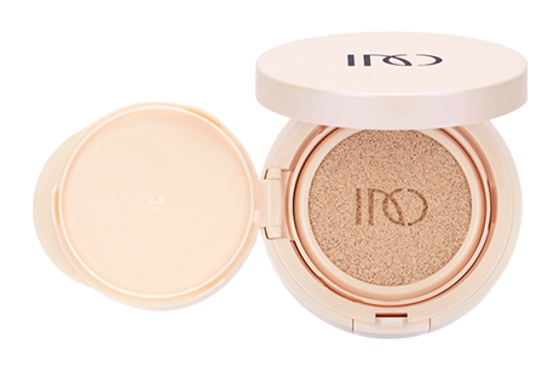 Incellderm 4d Lustre Cushion