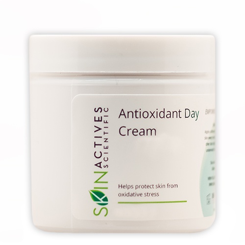 Skin Actives Antioxidant Day Cream