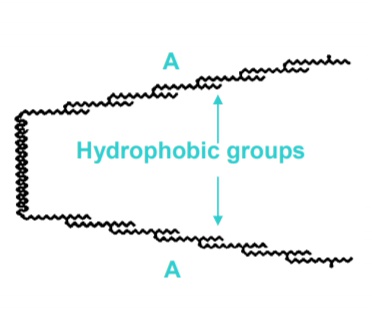 PEG-30 Dipolyhydroxystearate