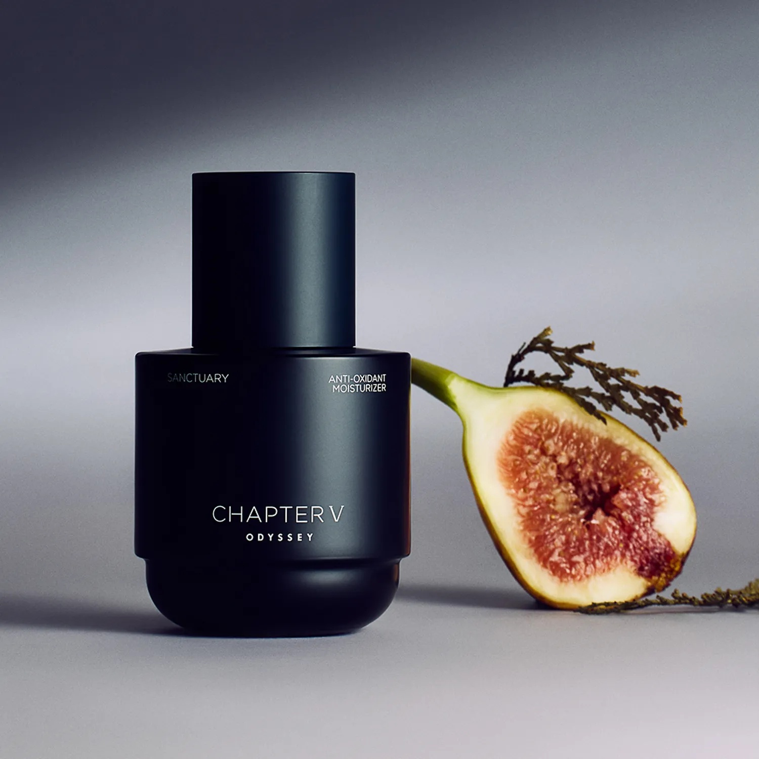 Odyssey Chapter V Anti-oxidant Moisturizer Sanctuary