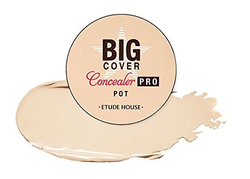 Etude House Big Cover Concealer Pro Pot In Beige