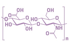 Hydrolyzed Hyaluronic Acid