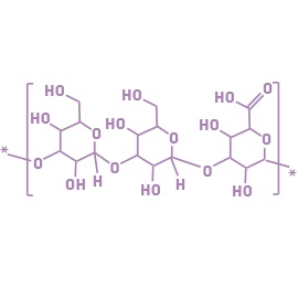 Biosaccharide Gum-1