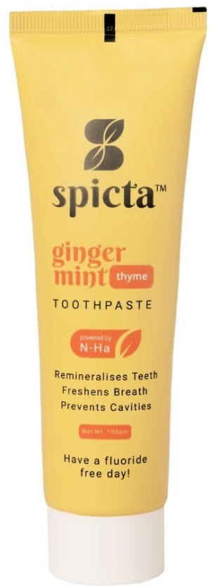 Spicta Ginger Mint Toothpaste