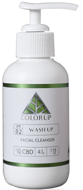 Color Up Wash Up Facial Cleanser