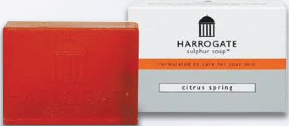 Harrogate Sulphur Soap Citrus Spring