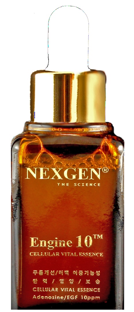 Nexgen Engine 10