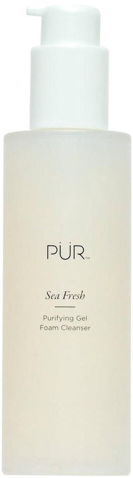 Pur Sea Fresh Purifying Gel Foam Cleanser
