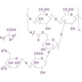 Xanthan Gum