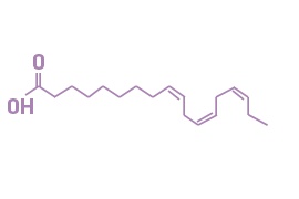 linolenic acid vs linoleic acid