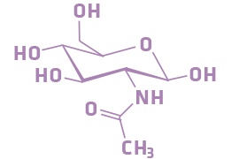 Acetyl Glucosamine