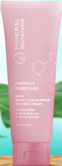 Mineral botanica Perfect Purifying Facial Foam