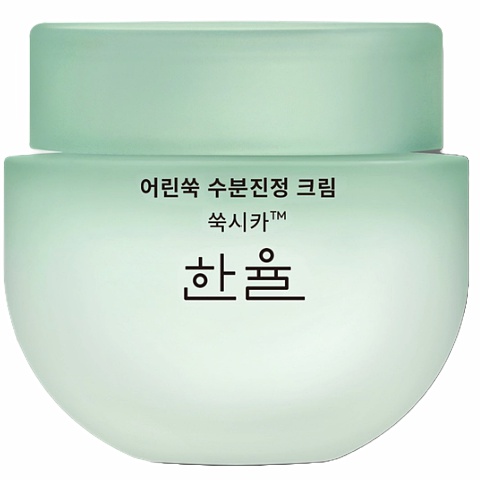 Hanyul Pure Artemisia Calming Water Cream (2023)