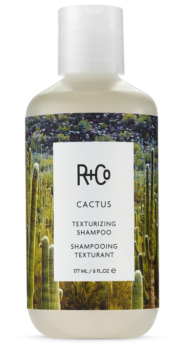 R+Co Cactus Texturizing Shampoo