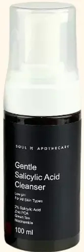 Soul Apothecary Gentle Salicylic Acid Cleanser