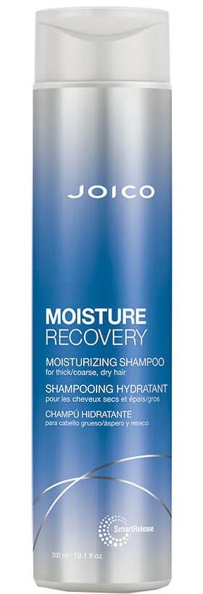 Joico Moisture Recovery Shampoo