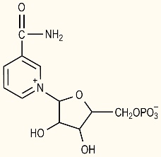 Nicotinamide Mononucleotide