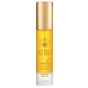 Tracie Martyn Amla Purifying Cleanser