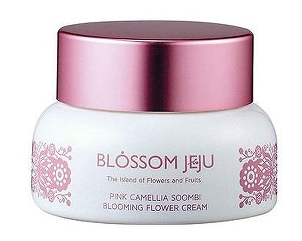 Blossom Jeju Pink Camellia Soombi Blooming Flower Cream
