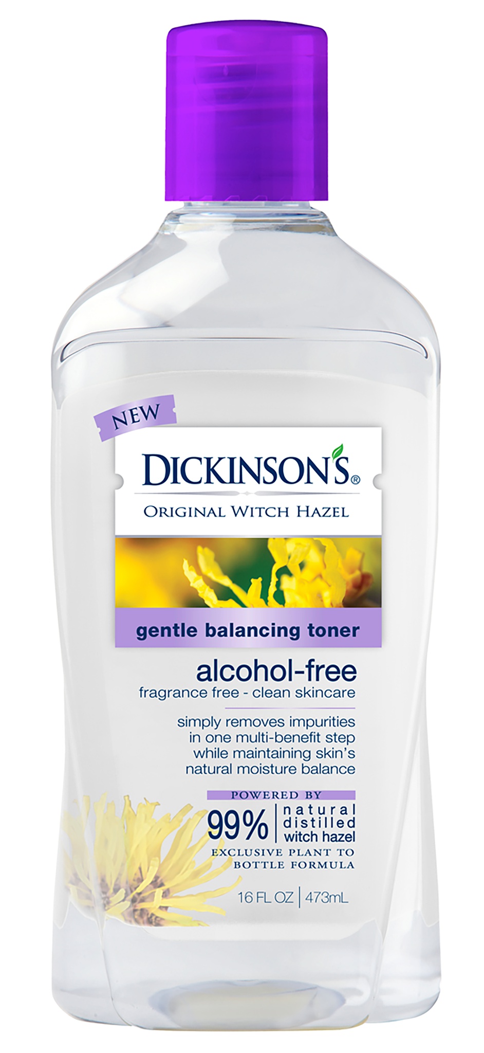 Dickinson’s Original Witch Hazel Gentle Balancing Toner