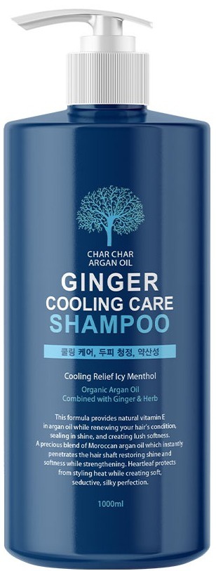 EVAS Pedison Char Char Argan Oil Ginger Cooling Care Shampoo