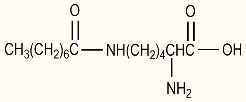 N-Capryloyl Lysine