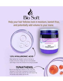 Bio soft Hyaluronic Acid Deep Conditioner