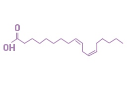 Linoleic Acid