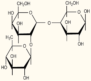 Fucosyllactose