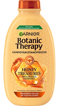 Garnier Botanic Therapy Honey Treasures Shampoo