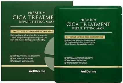 Wellderma Premium Cica Treatment Repair Fitting Mask