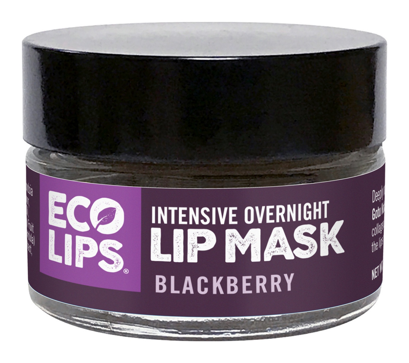 Eco Lips Blackberry Intensive Overnight Lip Mask