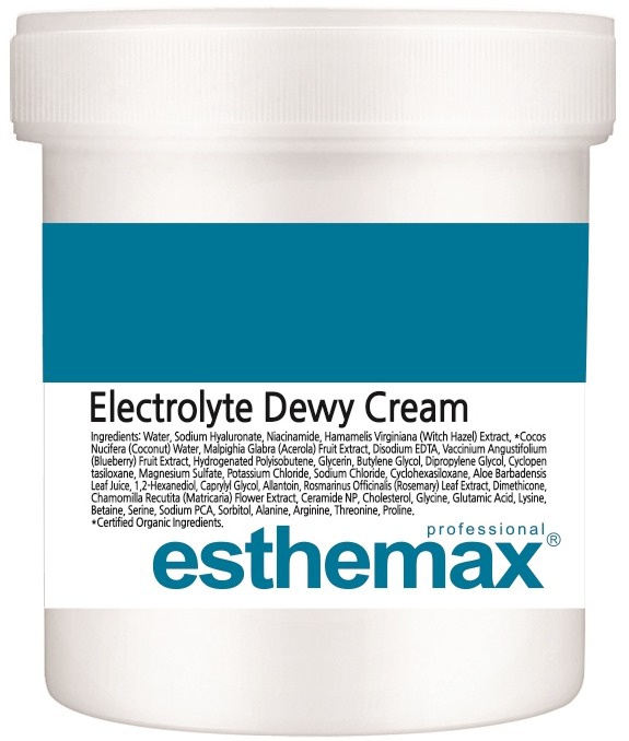 Esthemax Electrolyte Dewy Cream
